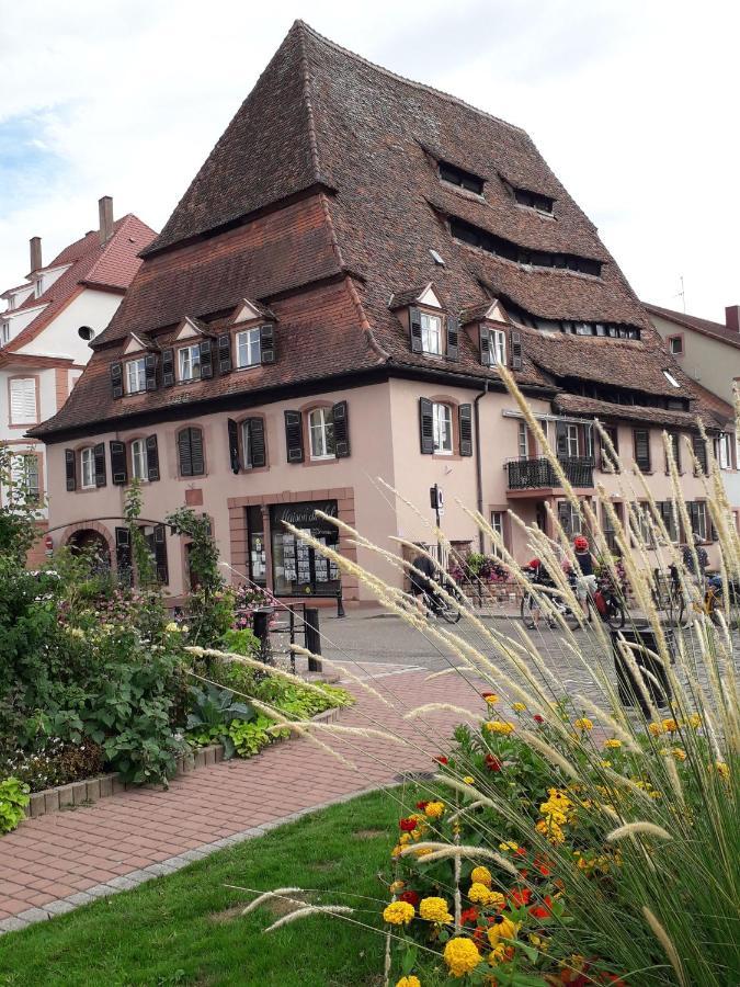 Chambre D'Hotes Du Schneeberg Alteckendorf Dış mekan fotoğraf