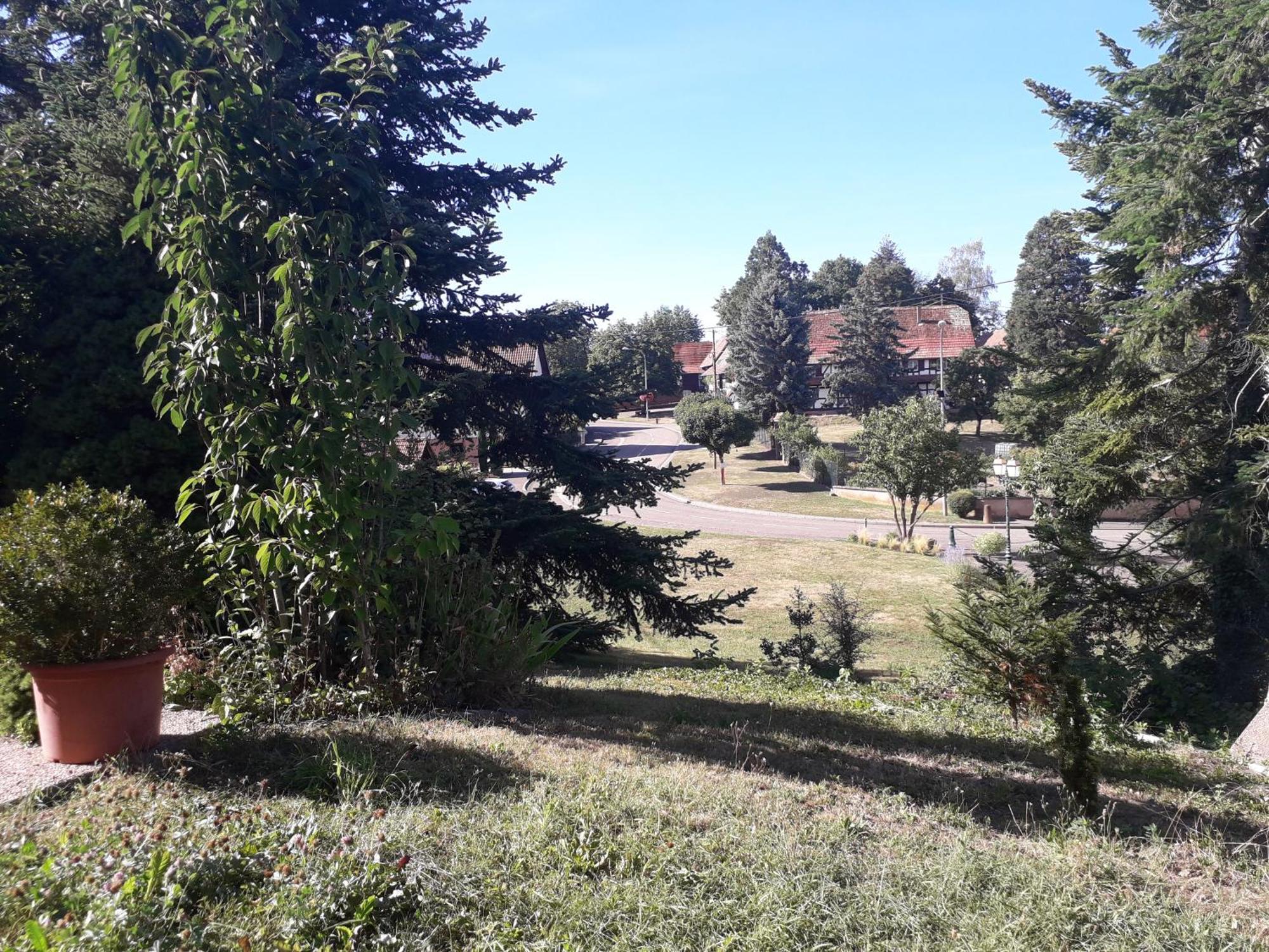 Chambre D'Hotes Du Schneeberg Alteckendorf Dış mekan fotoğraf